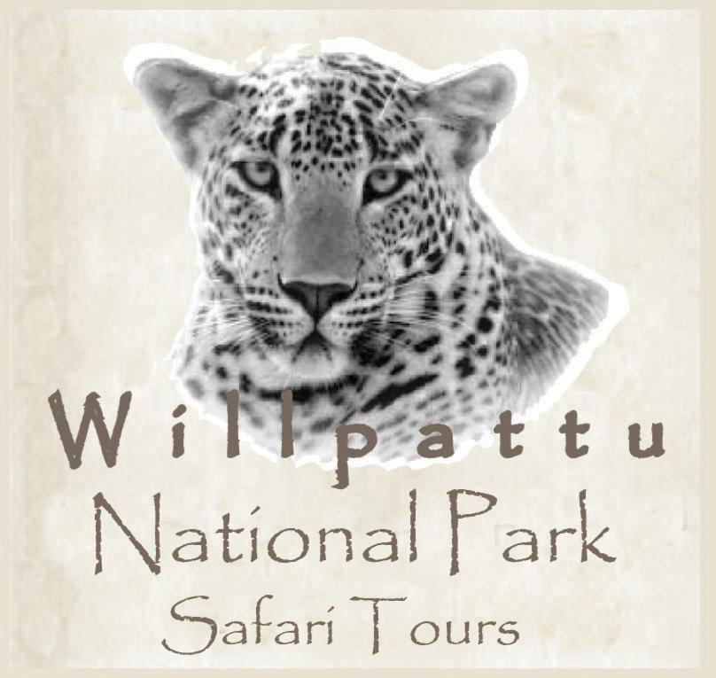 Arachiwil Green Nature Resort Puttalam Kültér fotó